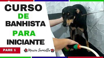 Como ser banhista de pet shop?