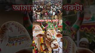 কুরবানীর ঈদ #ternding #foryou #viralvideo #eid #korbani #mani #sok #love #hozandiyar