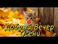 Добрый Вечер 💖 Пожелания Доброго Вечера 💕с Добрым Вечером