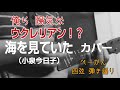 「海を見ていた」(小泉今日子)カバー   ベーかん四弦弾き語り(ウクレレ弾き語り)