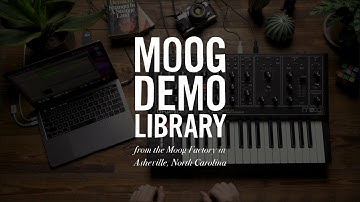Moog Model 15 iOS App | GarageBand Connectivity with macOS Big Sur