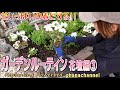 【ガーデンルーティン】花壇の植え替え③、花いっぱいの春にする！Replanting flower bed, making spring full of flowers🌸