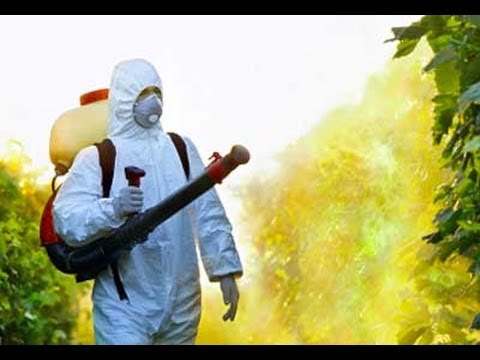  Necesitamos pesticidas para alimentar al mundo o es un  Mito?.