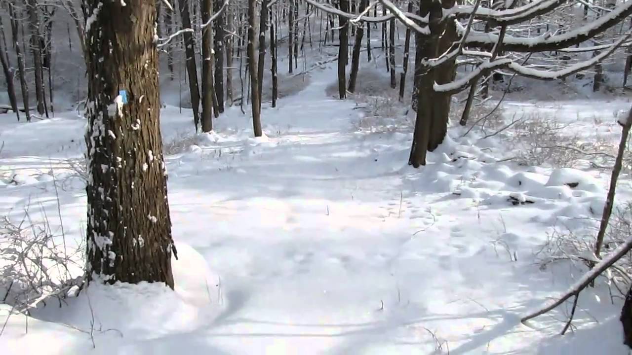 Hiking in the snow at the Merestead park. Mount Kisco YouTube