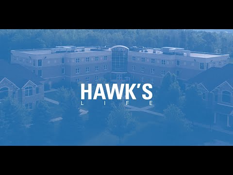 Hawk&rsquo;s Life