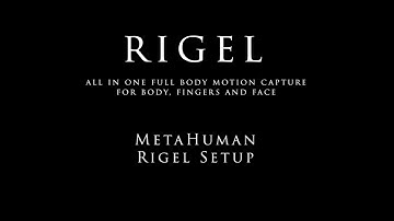 MetaHuman Rigel Setup