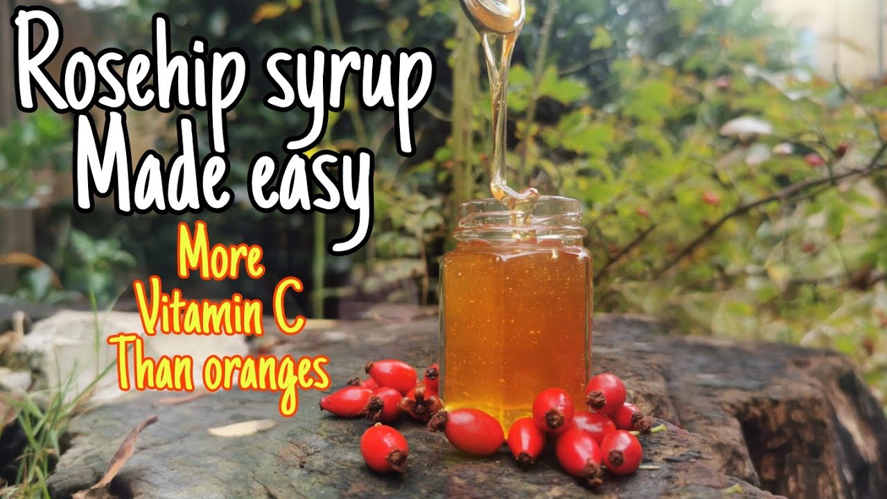How To Make Rosehip Syrup Easily Step By Step YouTube How To Make Rosehip Syrup Easily Step By Step YouTube