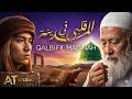قلبي في المدينة وجد السكينة أجمل أنشودة في حب النبي ﷺ  mp3