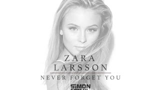 Zara Larsson - Never forget you feat MNEK (Lyrics)