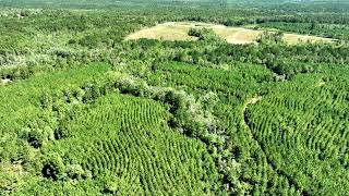 000 Beat 4 Shubuta Rd, Shubuta, Ms 39360 Presented By Joshua & Natalie Graham Of Epique Realty