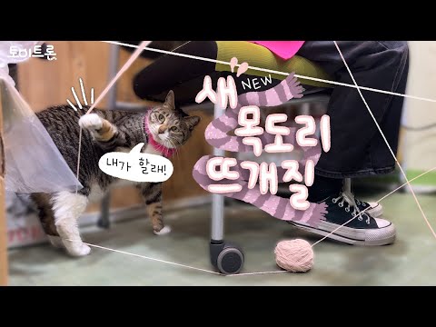[장난감 나라의 트론이] EP. 317 새 <strong>목도리</strong> 뜨개질
