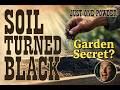 I Sprinkle This on My Raised Beds… and the Soil Turns Jet Black in Weeks