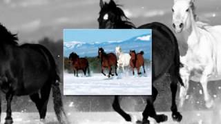 İlksen Aydın - Dilimin Ucuna Gelenler