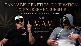 From Felony Charges to Global Genetics | Chase of Umami Seeds