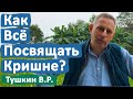 КАК ВСЁ ПОСВЯЩАТЬ КРИШНЕ? • ВАСИЛИЙ ТУШКИН