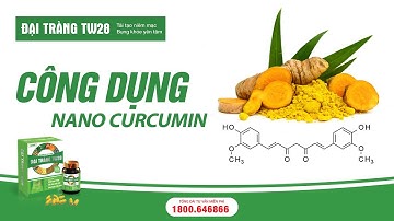 CÔNG DỤNG CỦA NANO CURCUMIN | ĐẠI TRÀNG TW28