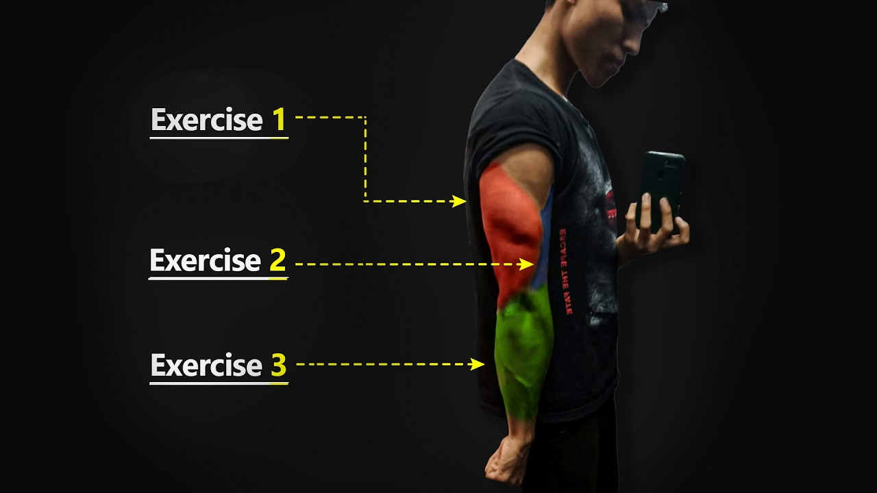 The Only Exercises You Need for BIGGER ARMS