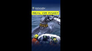Waschanlage für Wale - REAL oder FAKE ?