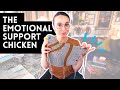 The emotional support chicken   knitting podcast