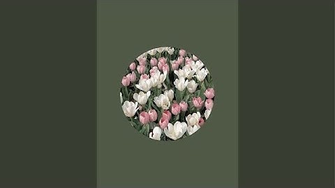 شرح الاية 44 من سورة فصلت Surat -Fussilat||Quran education