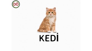 Turkish Flashcards 2