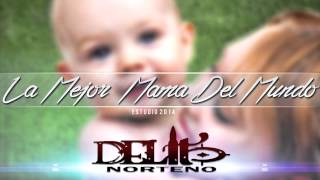 Miniatura de vídeo de "LA MEJOR MAMA DEL MUNDO "DELITO NORTENO" 2014"