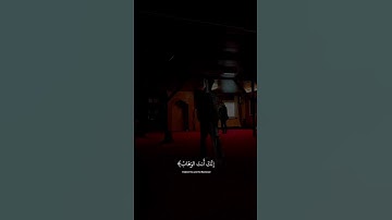 #القارئ_عبد_الرحمن_مسعد #تلاوة_خاشعة #سورة_العمران