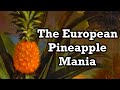 The Bizarre History of Pineapples