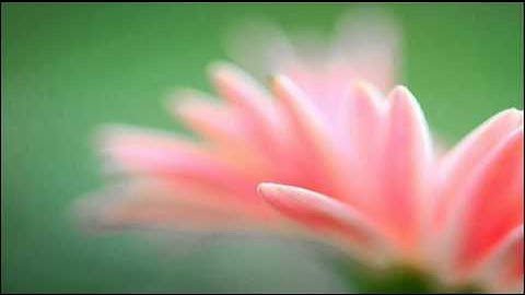 A. Vivaldi: Concerto for violin, organ, strings & b.c. in C minor (RV 766) / Musica ad Rhenum