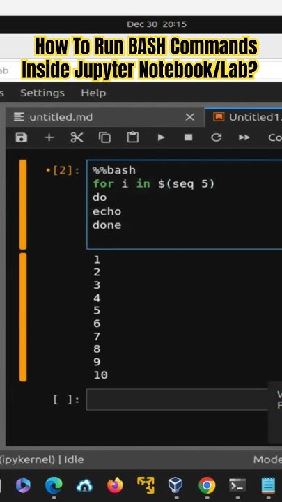How To Run BASH Commands Inside Jupyter Notebook/Lab? - YouTube