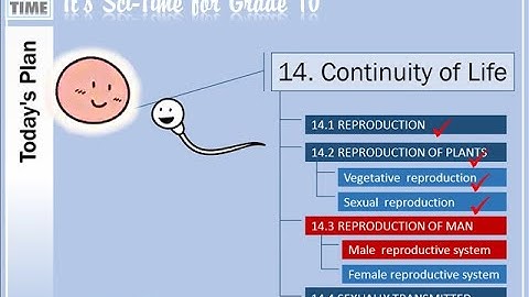 Grade 10 Unit 14 Reproduction Lesson 4 640p