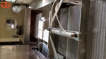 Video of Cube Sugar Processing Line