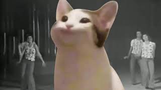 Pop Cat meme with popcorn song