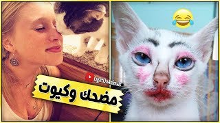 قطط مضحكة جداً - اضحك مع القطط حتي البكاء  #4 (NEW)