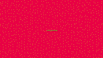 Postural Assessment Test (Static and Dynamic)