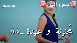 اغنية مع انك مصيبة حياة ومراد