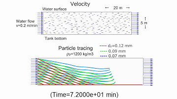 CFD Horizontal Flow Sedimentation Tank 沈降分離