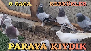 11 TAKIM KUŞ ALDIK PİYASAYI SALLAYACAZ 