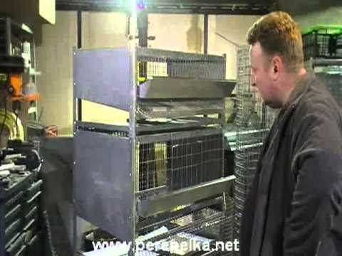 Клеточная батарея для перепелов, кур, бройлеров