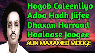 Hogob Caleenliyo adoo hadh jiifee | Nabsiga Hiishaan | Maxamed mooge heestii nabsiga  | mooge kaban