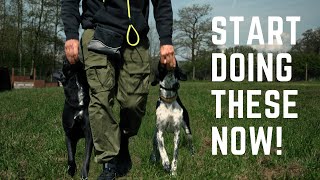 IMPORTANT Things To Start Doing With Your Dog TODAY!