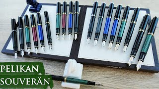 Pelikan Souverän Collection Overview | A True Icon in Writing | Available at Appelboom