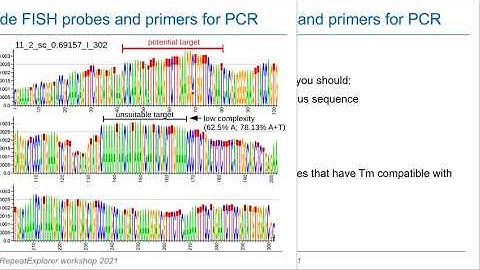RepeatExplorer workshop 2021 - Protocol 3