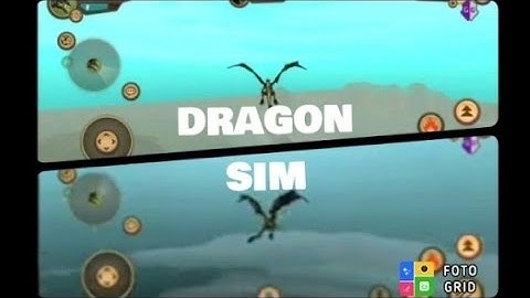 DRAGON SIM _ HACKS