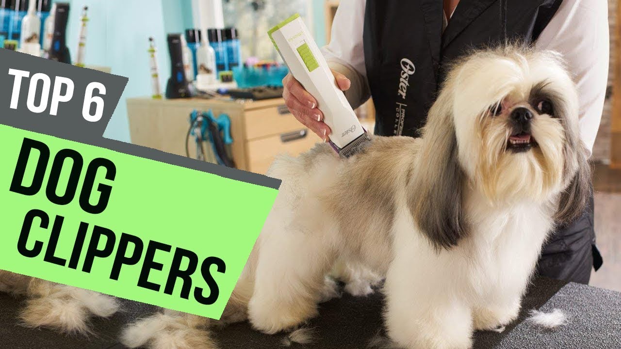 6 Best Dog Clippers Reviews YouTube