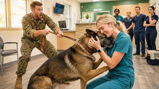 Don't Touch Him, He Bites The Sergeant Smirked At The Vet Tech—Until His K9 Left His Side And P...