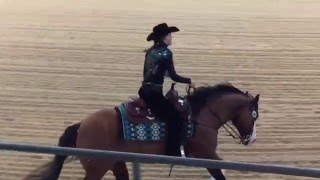Gina Schumacher + GOTTA NIFTY GUN at 2016 NRHA European Open Futurity - Kreuth Germany