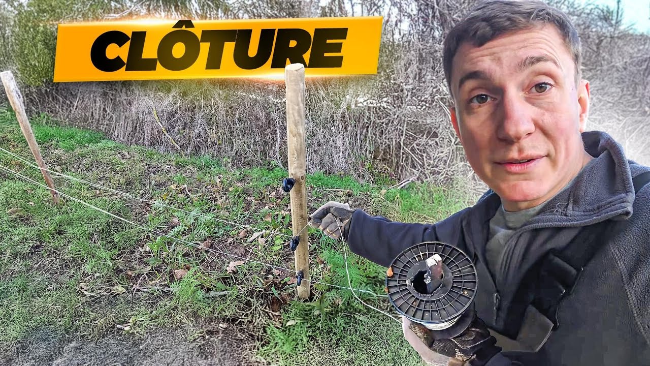 CLOTÛRE CONTRE LES SANGLIERS !