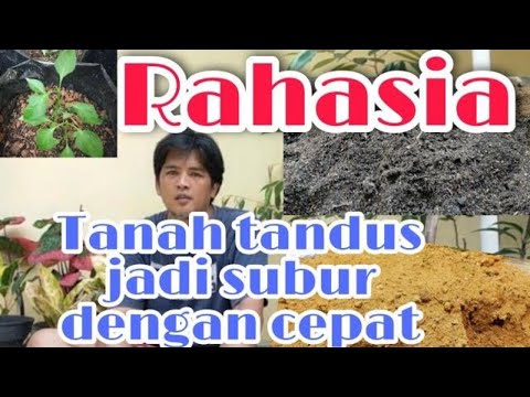 Video: Bagaimana cara membuat tanah yang subur menjadi subur?