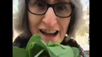 Eat your vegetables remix meme